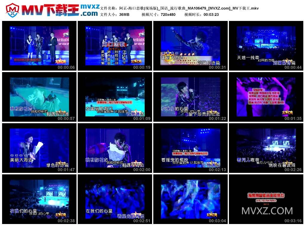 阿正-海口恋歌(现场版)_国语_流行歌曲_MA106479